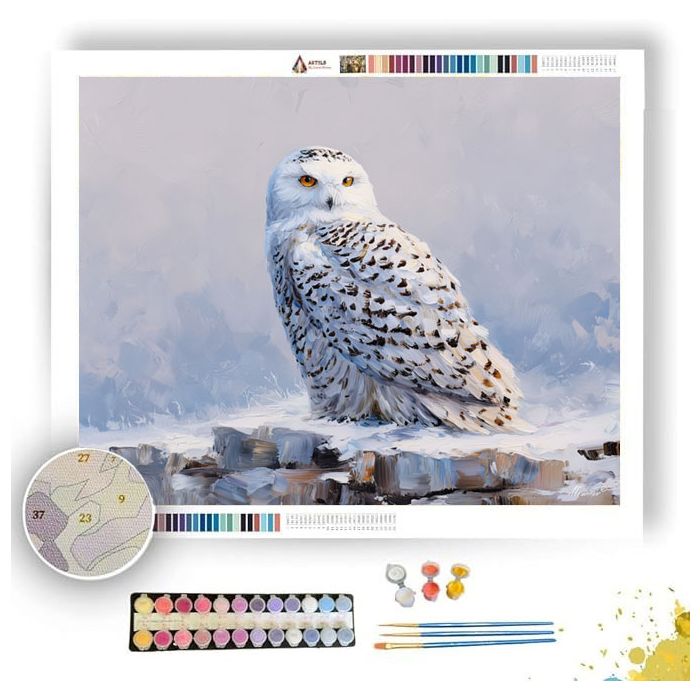 SILENT SNOWY OWL - Paint by Numbers Full Kit