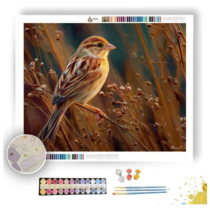 FIELD SPARROW - Paint by Numbers Full Kit