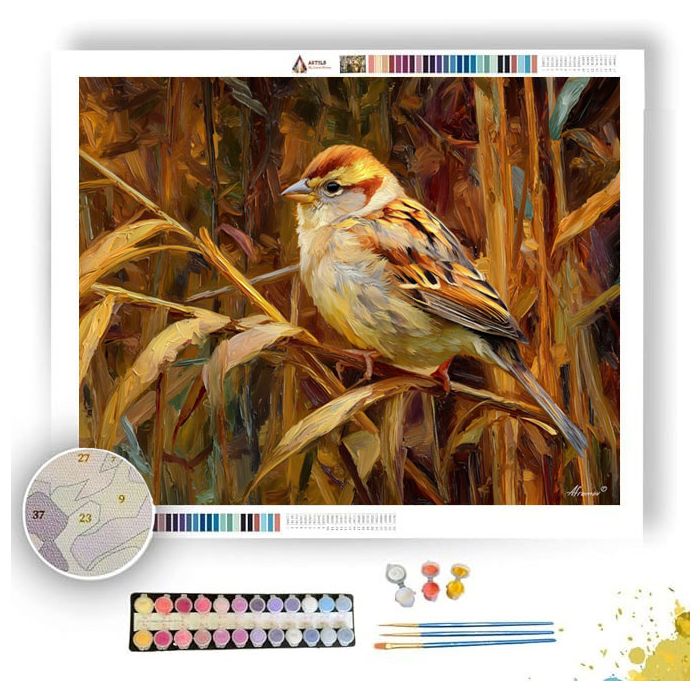FIELD SPARROW REST - Paint by Numbers Full Kit