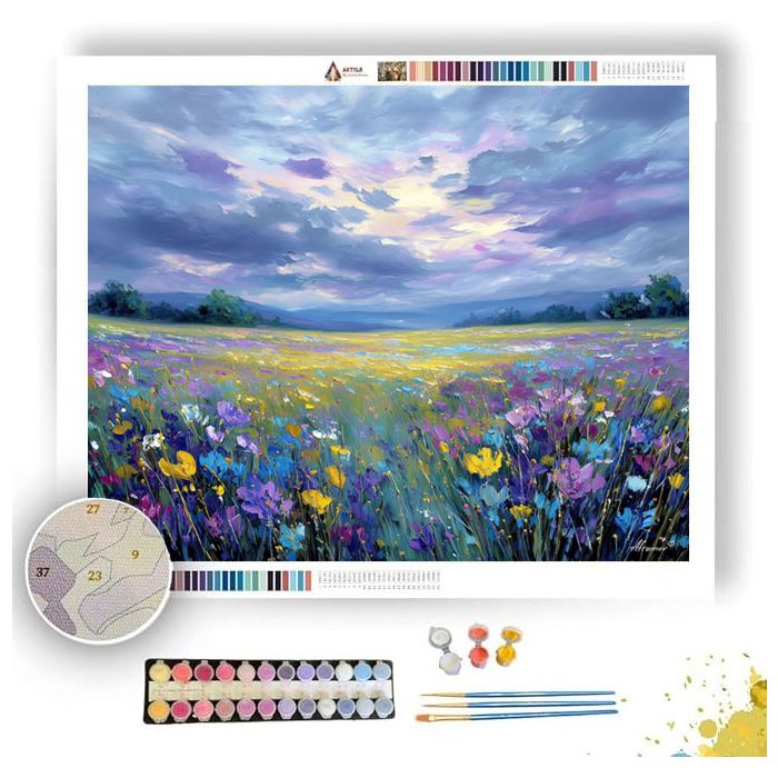 SILVER MEADOW SKY - Paint by Numbers Full Kit