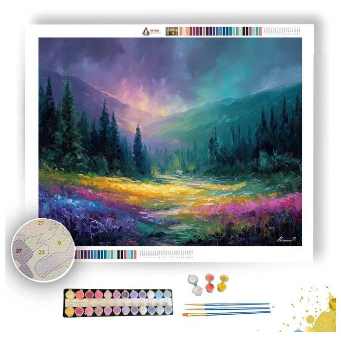 SOFT AURORA FIELD - Paint by Numbers Full Kit