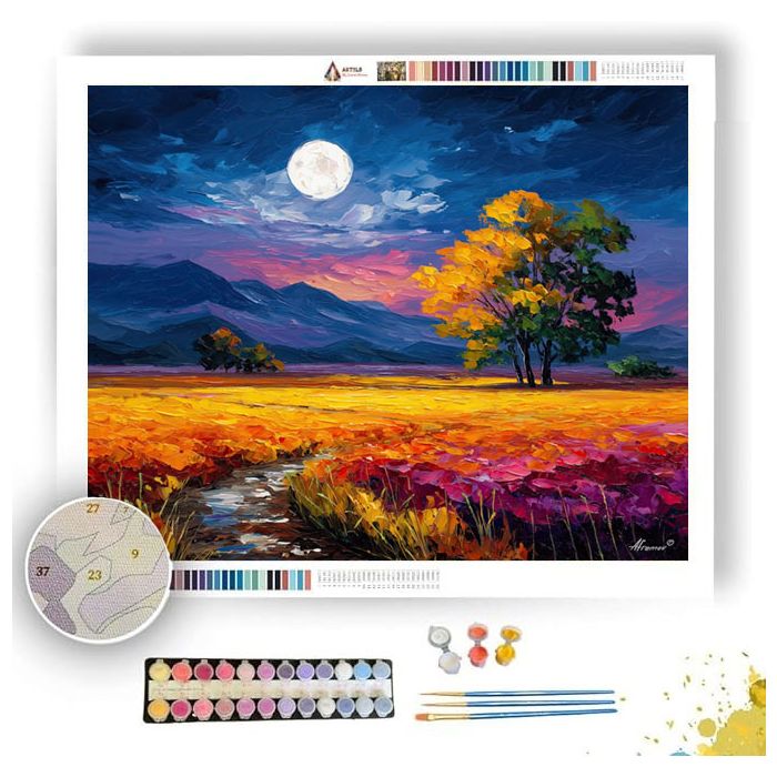 MOONPETAL PLAINS - Paint by Numbers Full Kit