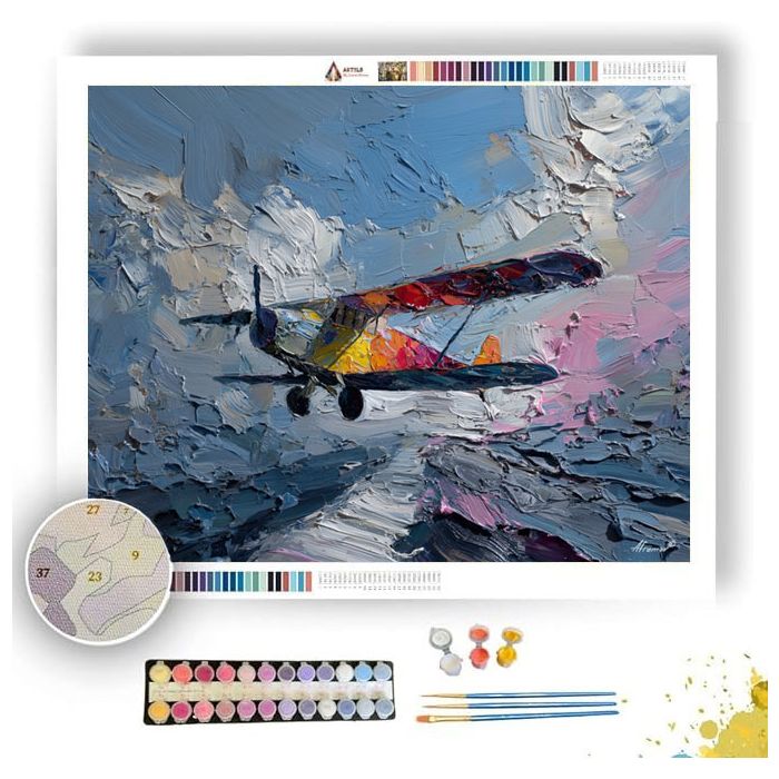 SPLIT PLANE - Paint by Numbers Full Kit