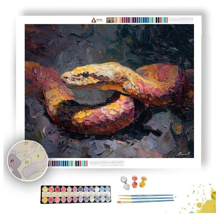 SLOW BODY - Paint by Numbers Full Kit