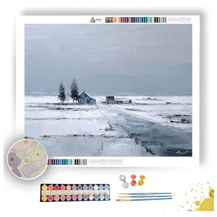 REDUCED PLANE - Paint by Numbers Full Kit