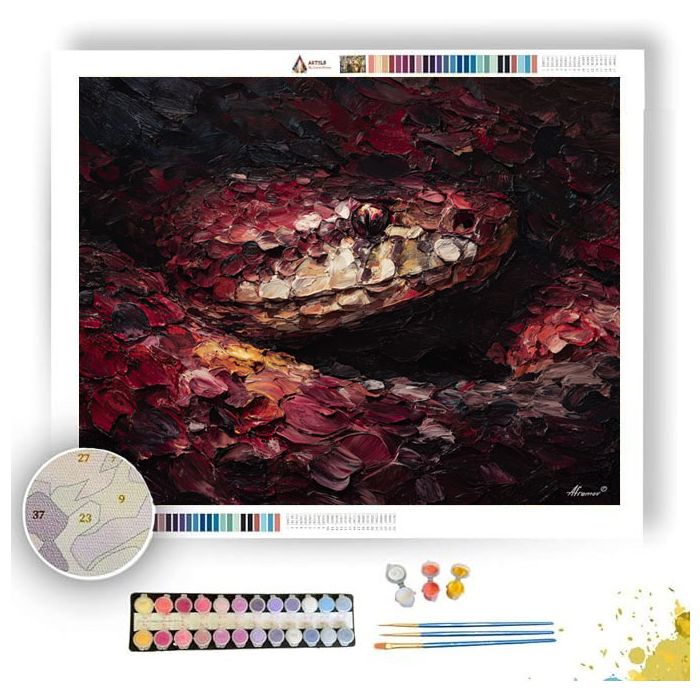 HIDDEN BODY - Paint by Numbers Full Kit