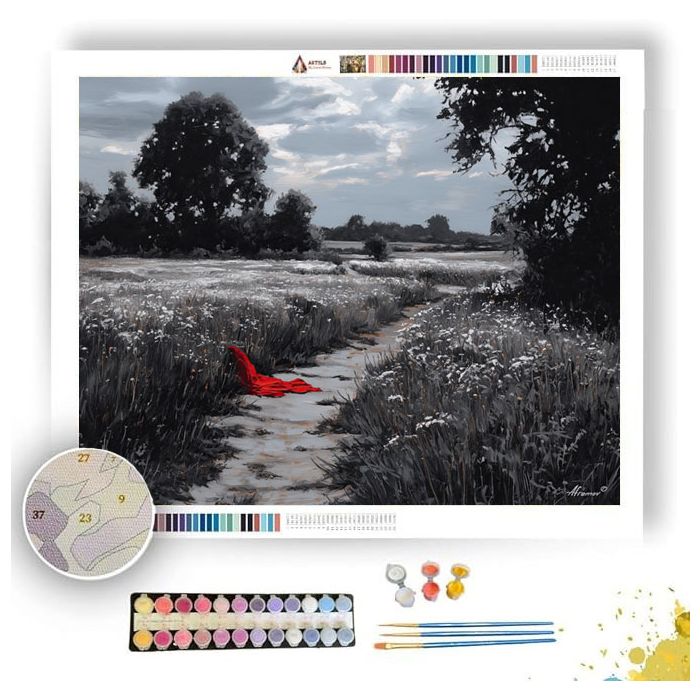 FIELD PATH WITH SCARLET CLOTH B&W - Paint by Numbers Full Kit