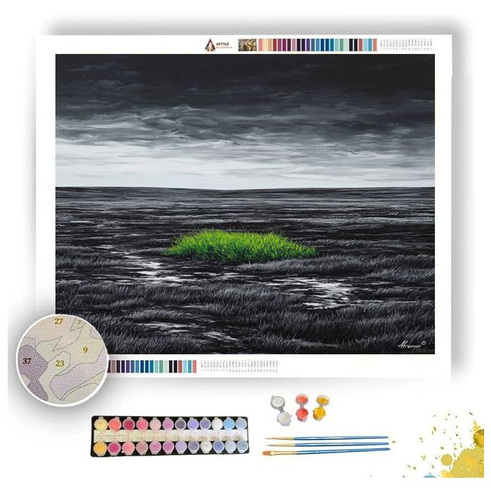 OBSIDIAN FIELD WITH EMERALD GRASS B&W - Paint by Numbers Full Kit