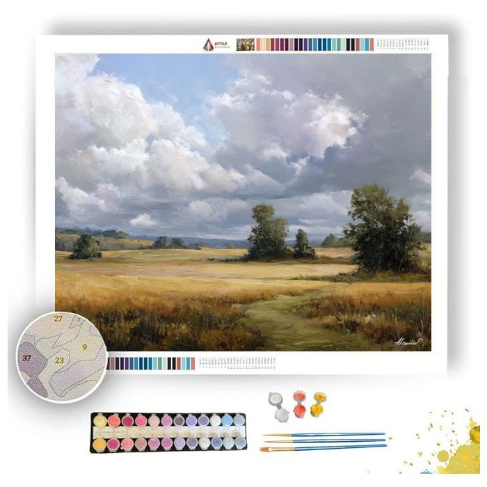 FIELD UNDER MUTED CLOUDS - Paint by Numbers Full Kit