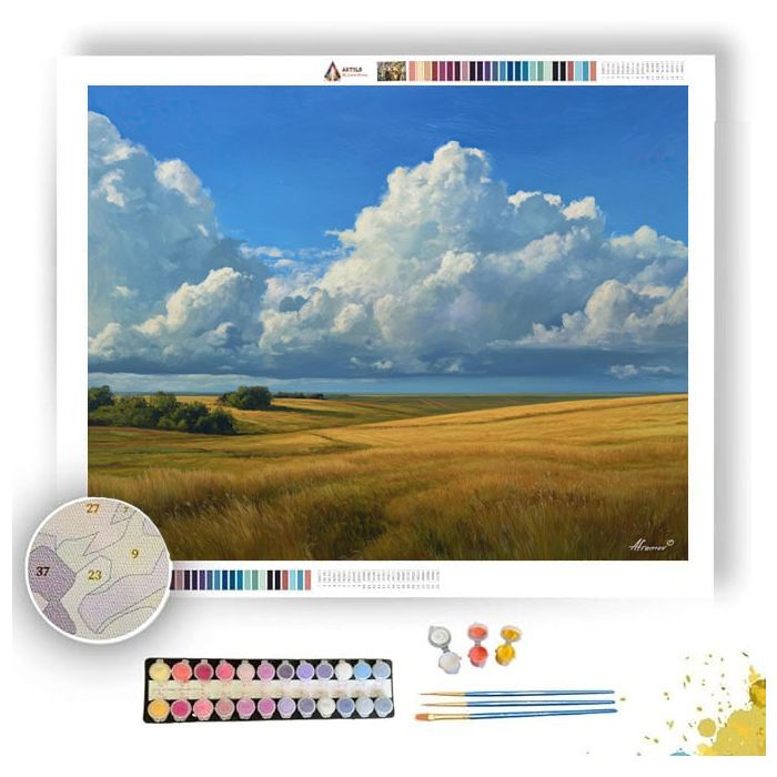 FIELD UNDER RESTING CLOUDS - Paint by Numbers Full Kit