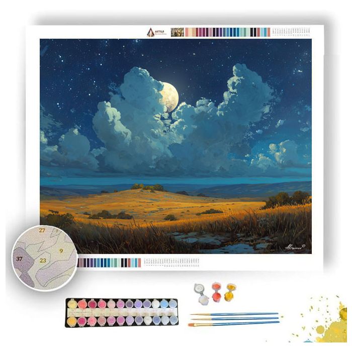LUNAR DRIFT PLAINS - Paint by Numbers Full Kit