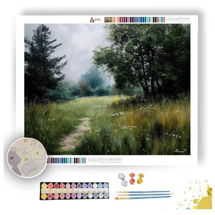 MEADOW WITH FAINT PATH - Paint by Numbers Full Kit
