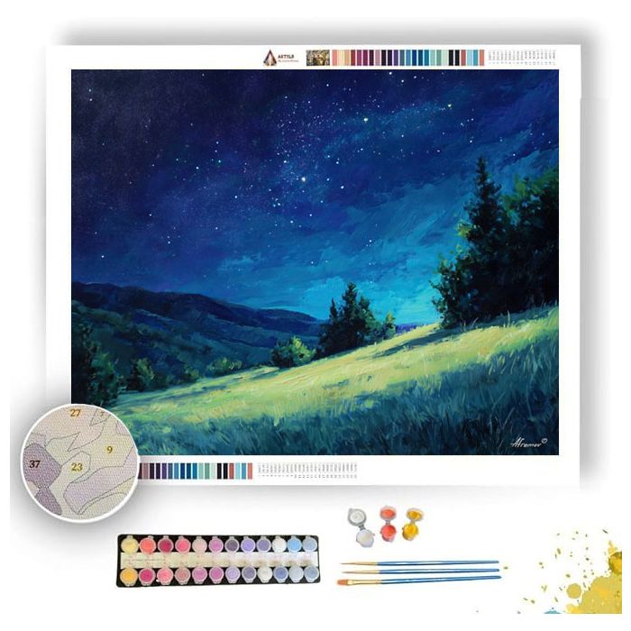 NIGHTSONG HILLSIDE - Paint by Numbers Full Kit