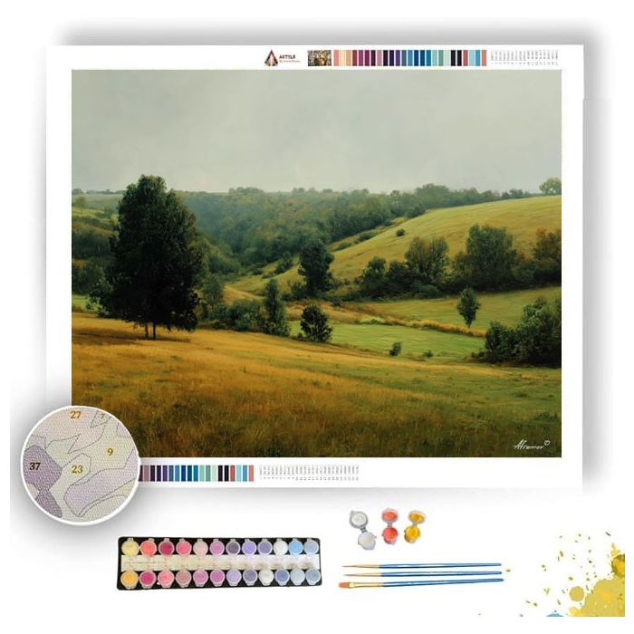 PASTURE IN STILL LIGHT - Paint by Numbers Full Kit