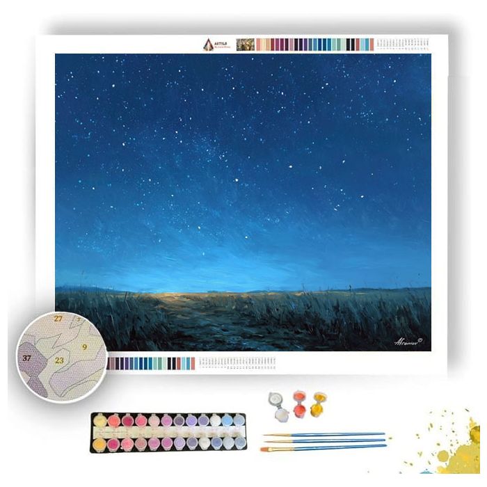 QUIET CONSTELLATION FIELD - Paint by Numbers Full Kit