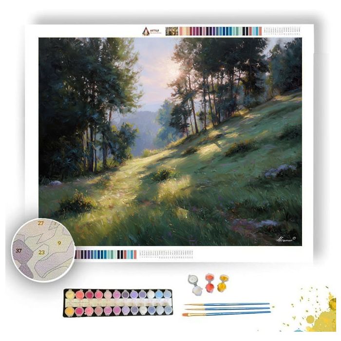SOFT LIGHT HILLSIDE - Paint by Numbers Full Kit