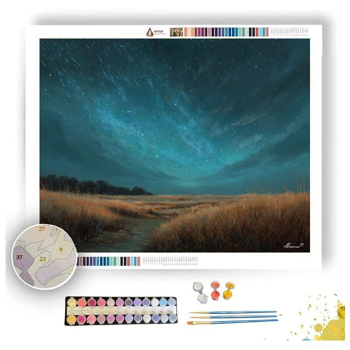 STARTRACE FIELD - Paint by Numbers Full Kit