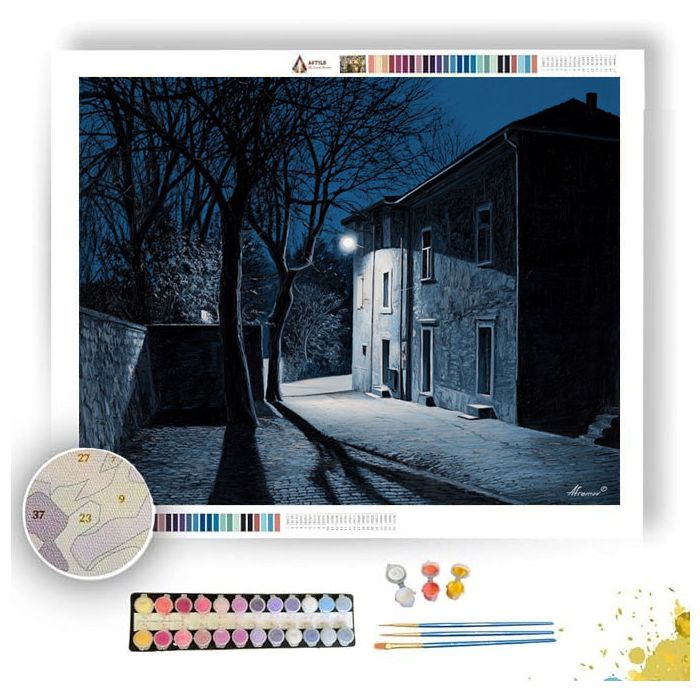 BLUE NIGHT SHADOW - Paint by Numbers Full Kit