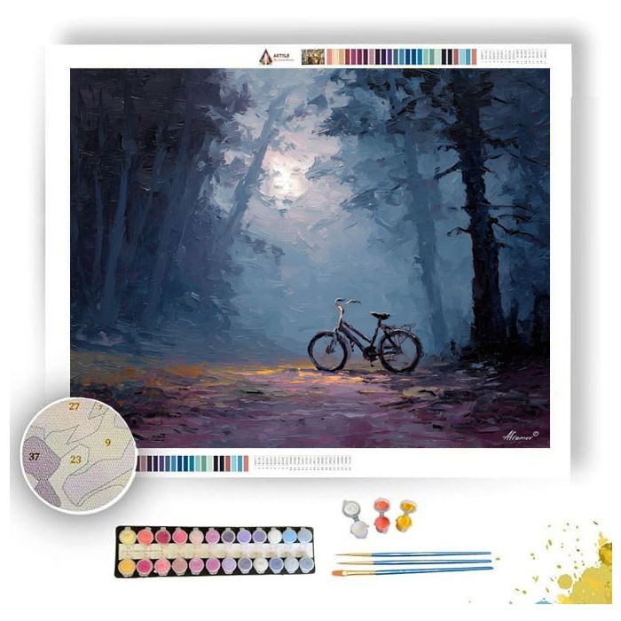 HIDDEN QUIET - Paint by Numbers Full Kit