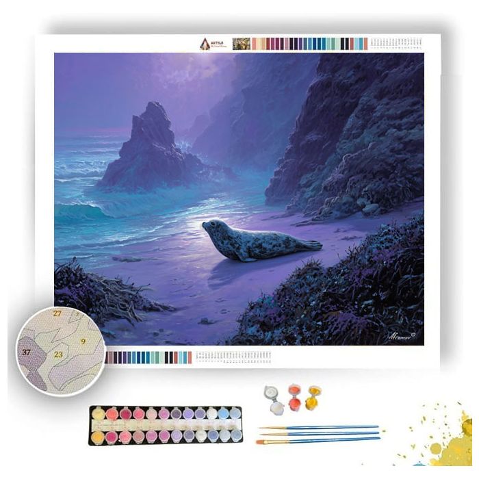TIDESHARD SEAL COAST - Paint by Numbers Full Kit