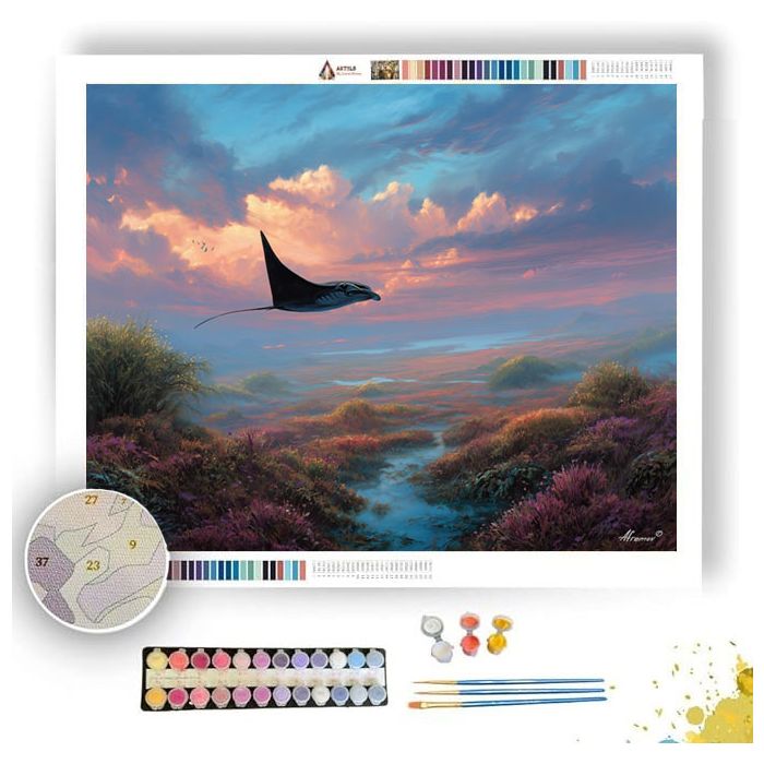 SKYBOUND MANTA FIELDS - Paint by Numbers Full Kit