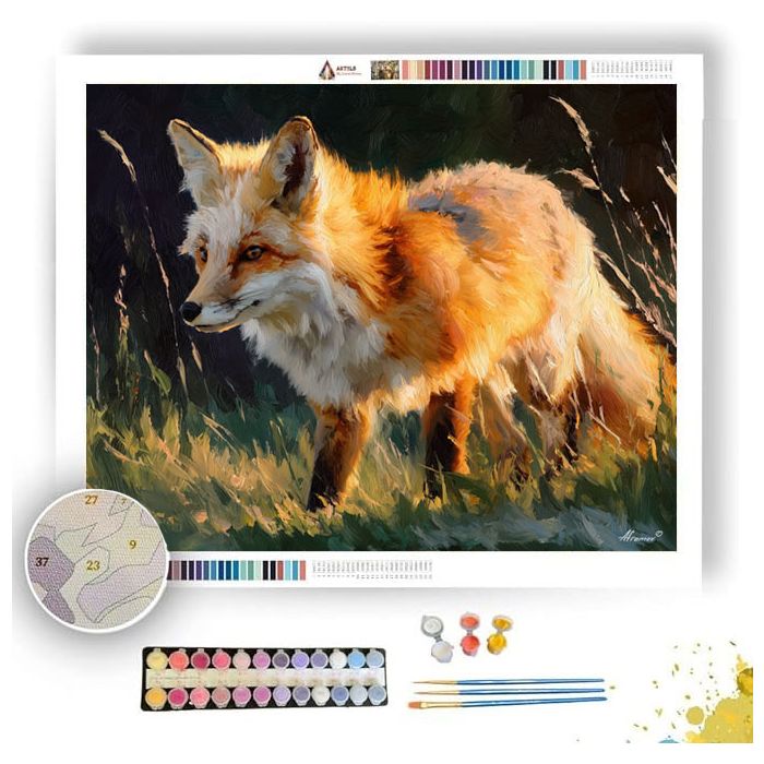 DREAMY MOMENT - Paint by Numbers Full Kit