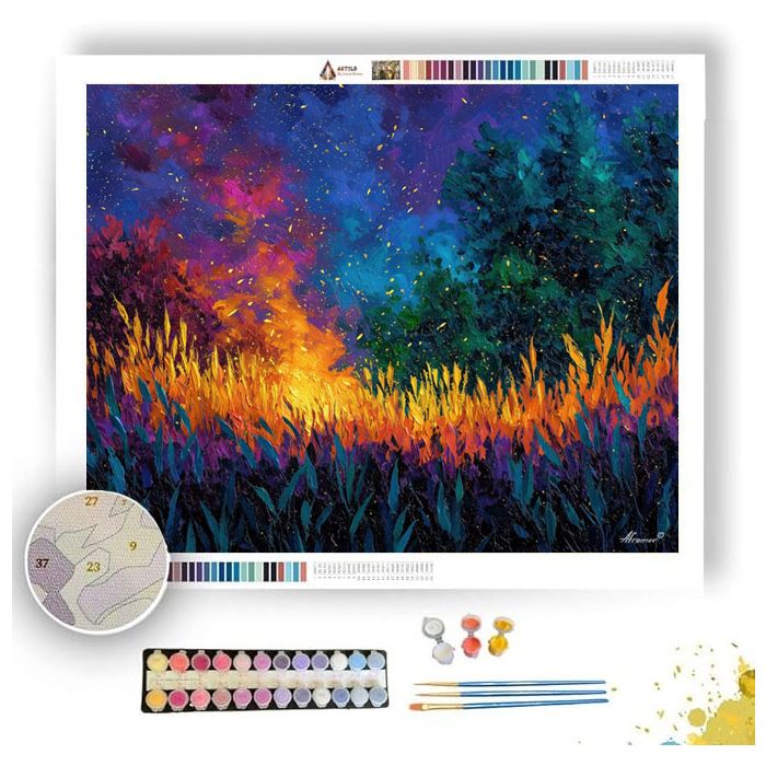 OPEN HIDDEN FIELD - Paint by Numbers Full Kit