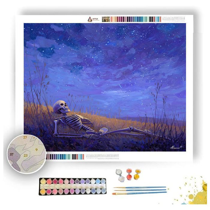 SKELETON STAR GAZE - Paint by Numbers Full Kit