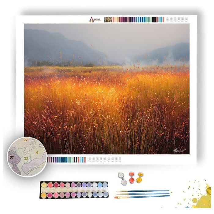 SUNEMBER MEADOW - Paint by Numbers Full Kit