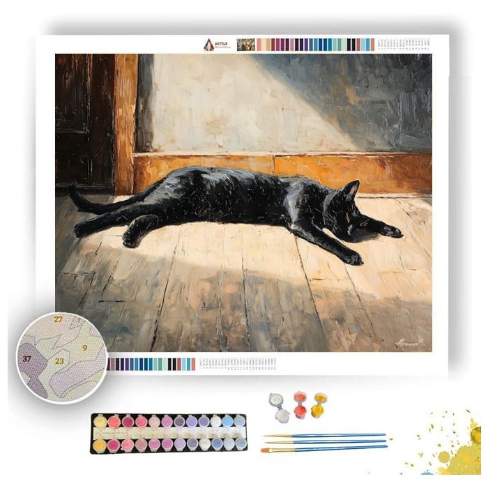 STRANGE HIDDEN MOMENT - Paint by Numbers Full Kit