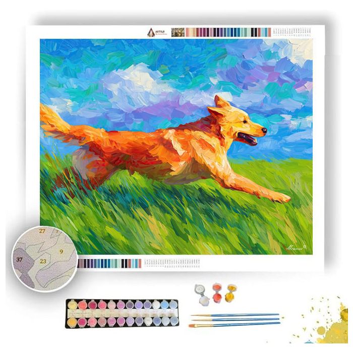BRIGHT COLORS - Paint by Numbers Full Kit