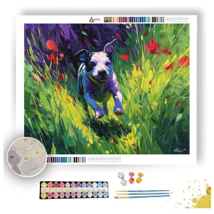 BRIGHT LIGHT - Paint by Numbers Full Kit