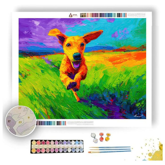 CLEAR PATH - Paint by Numbers Full Kit