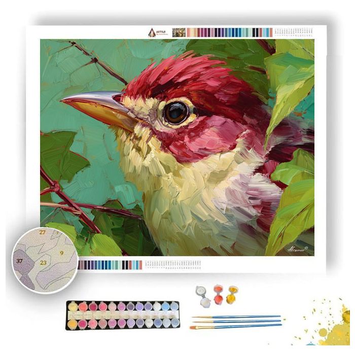 WARM DETAIL - Paint by Numbers Full Kit