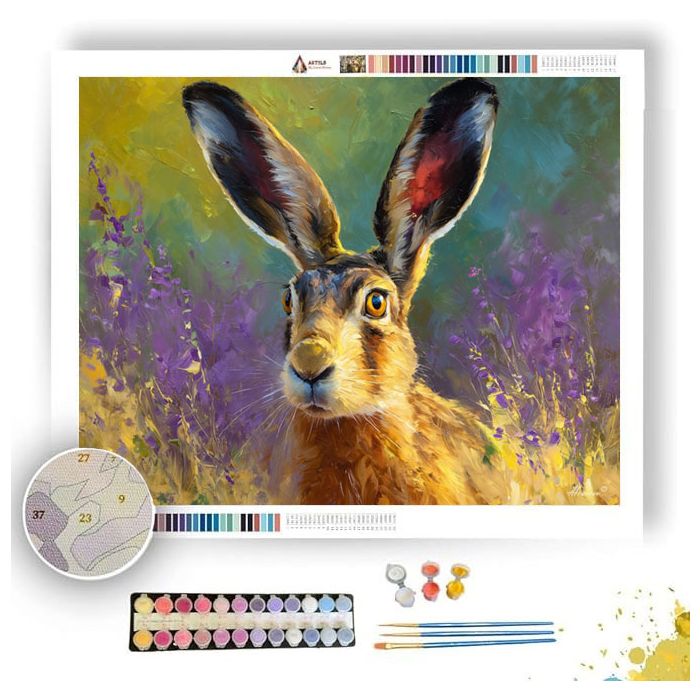 OPEN GAZE - Paint by Numbers Full Kit