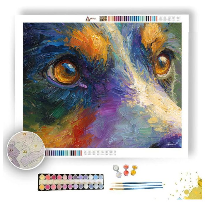 CLEAR EXPRESSION - Paint by Numbers Full Kit