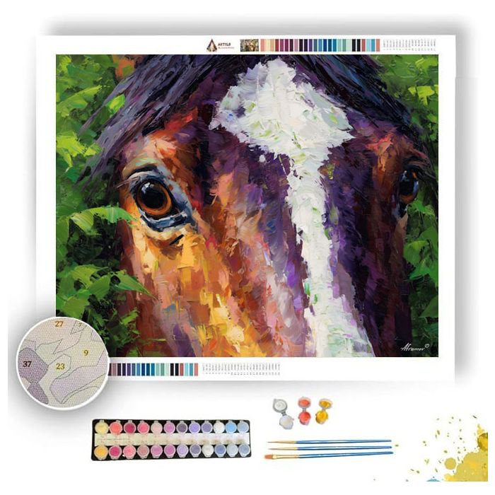 WARM EXPRESSION - Paint by Numbers Full Kit