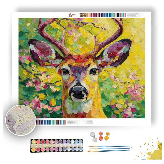 FOCUSED STARE - Paint by Numbers Full Kit