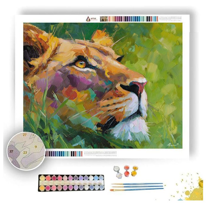 QUIET FOCUS - Paint by Numbers Full Kit