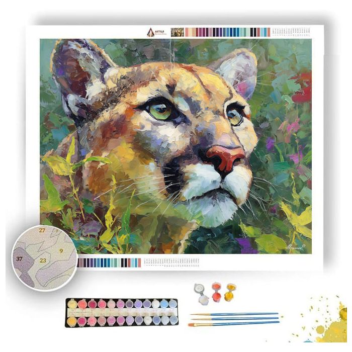 OPEN FACE - Paint by Numbers Full Kit