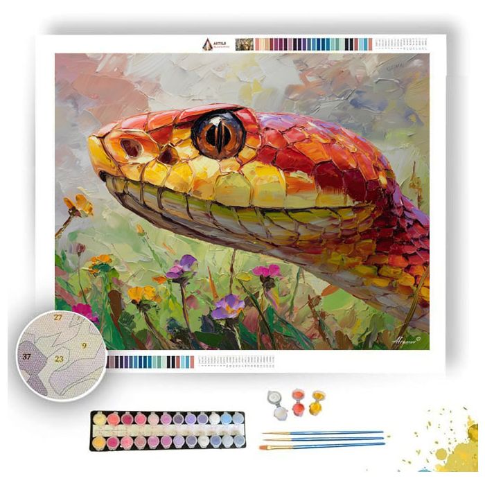AIRY STARE - Paint by Numbers Full Kit