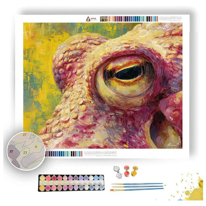 FOCUSED FACE - Paint by Numbers Full Kit