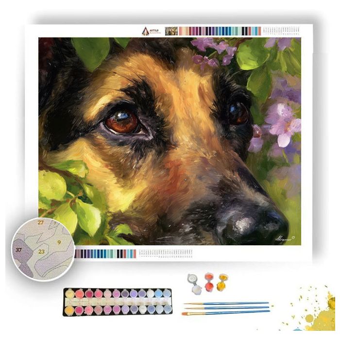 SOFT VIEW - Paint by Numbers Full Kit
