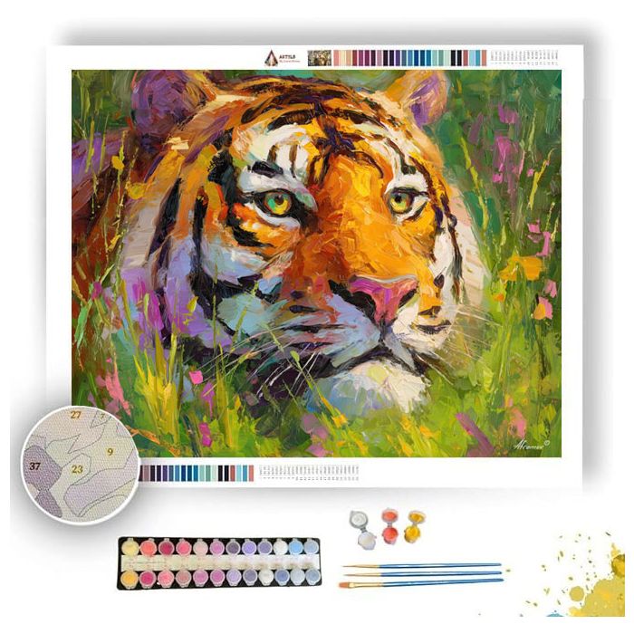 CALM FEATURES - Paint by Numbers Full Kit