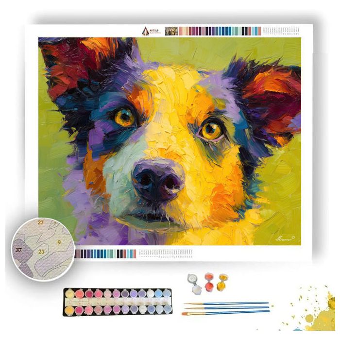WILD EXPRESSION - Paint by Numbers Full Kit
