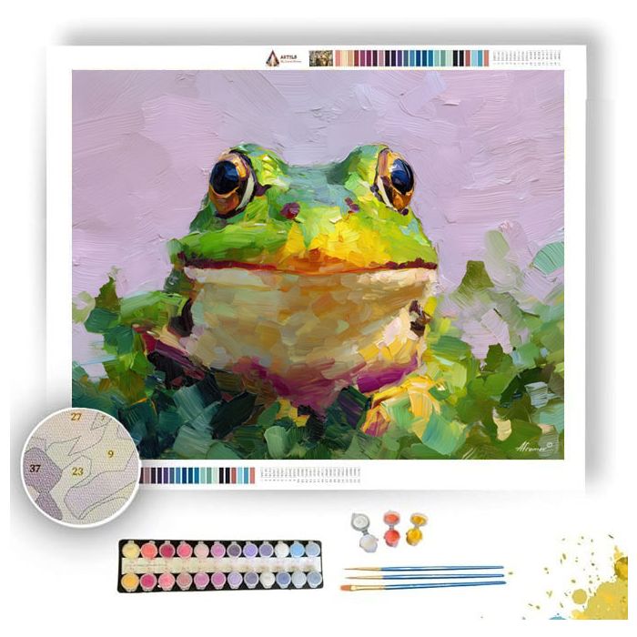 SOFT STARE - Paint by Numbers Full Kit