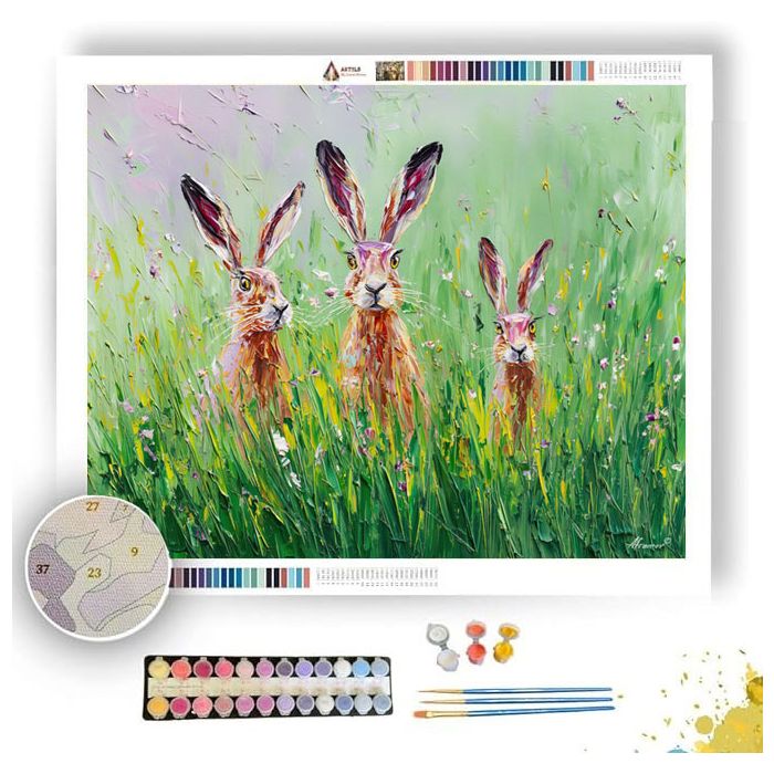 SOFT MEADOW - Paint by Numbers Full Kit