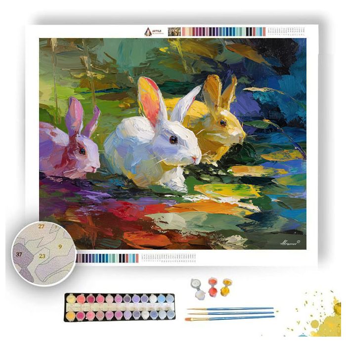 AIRY SPACE - Paint by Numbers Full Kit