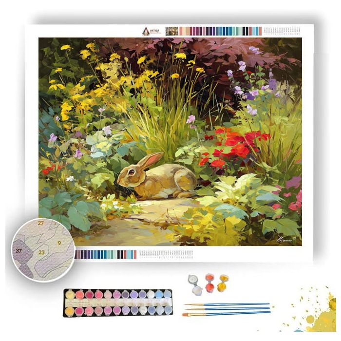 OPEN BALANCE - Paint by Numbers Full Kit