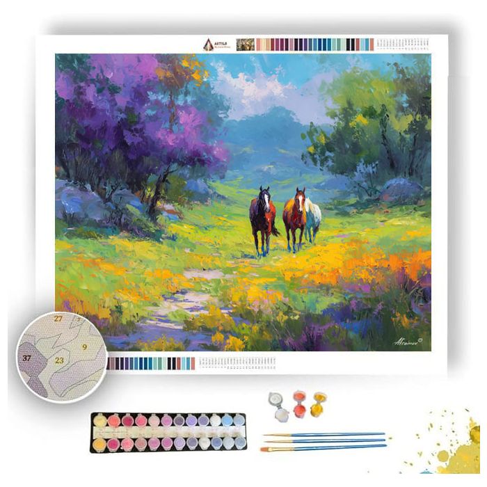 SOFT PATH - Paint by Numbers Full Kit